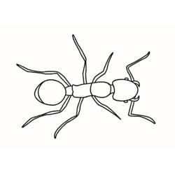 Раскраска: муравей (Животные) #6954 - Бесплатные раскраски для печати