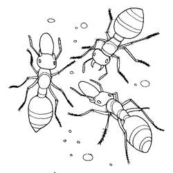 Раскраска: муравей (Животные) #6993 - Бесплатные раскраски для печати