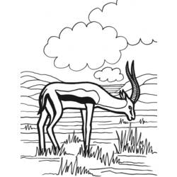 Раскраска: антилопа (Животные) #22608 - Бесплатные раскраски для печати