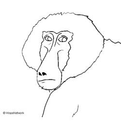 Раскраска: бабуин (Животные) #777 - Бесплатные раскраски для печати