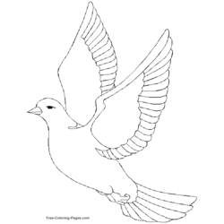 Раскраска: домашняя птица (Животные) #12028 - Бесплатные раскраски для печати