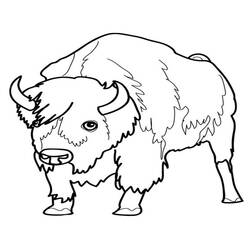 Раскраска: бизон (Животные) #1201 - Бесплатные раскраски для печати