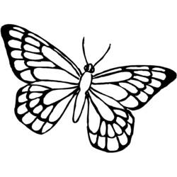 Раскраска: бабочка (Животные) #15768 - Бесплатные раскраски для печати