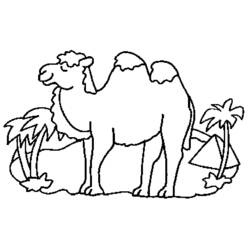 Раскраска: верблюд (Животные) #1697 - Бесплатные раскраски для печати