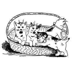 Раскраска: кот (Животные) #1901 - Бесплатные раскраски для печати