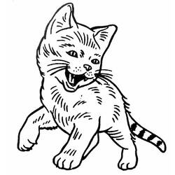 Раскраска: кот (Животные) #1904 - Бесплатные раскраски для печати