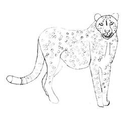 Раскраска: гепард (Животные) #7898 - Бесплатные раскраски для печати