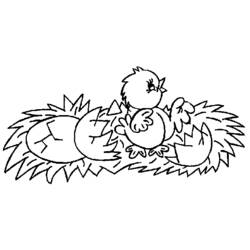 Раскраска: цыпленок (Животные) #15401 - Бесплатные раскраски для печати