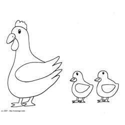 Раскраска: курица (Животные) #17238 - Бесплатные раскраски для печати