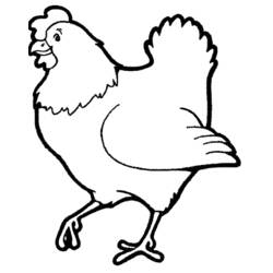 Раскраска: курица (Животные) #17250 - Бесплатные раскраски для печати