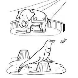 Раскраска: Цирковые животные (Животные) #20978 - Бесплатные раскраски для печати