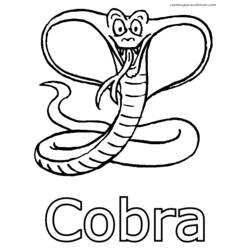 Раскраска: кобра (Животные) #3289 - Бесплатные раскраски для печати