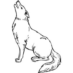 Раскраска: койот (Животные) #4492 - Бесплатные раскраски для печати