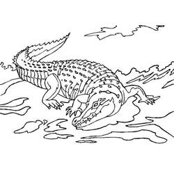 Раскраска: крокодил (Животные) #4984 - Бесплатные раскраски для печати