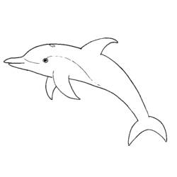 Раскраска: дельфин (Животные) #5114 - Бесплатные раскраски для печати