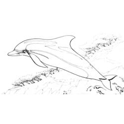 Раскраска: дельфин (Животные) #5140 - Бесплатные раскраски для печати