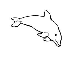 Раскраска: дельфин (Животные) #5161 - Бесплатные раскраски для печати