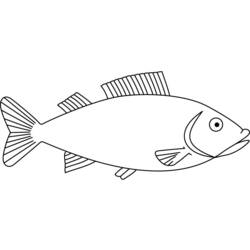 Раскраски: рыба - Бесплатные раскраски для печати