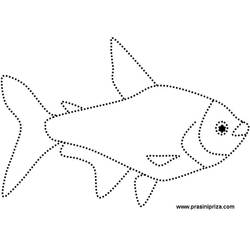 Раскраска: рыба (Животные) #17205 - Бесплатные раскраски для печати