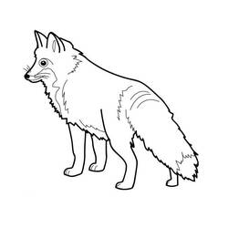 Раскраска: лисица (Животные) #14967 - Бесплатные раскраски для печати