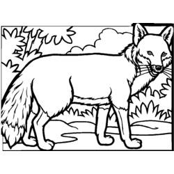 Раскраска: лисица (Животные) #14977 - Бесплатные раскраски для печати