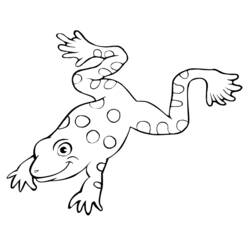 Раскраска: лягушка (Животные) #7637 - Бесплатные раскраски для печати