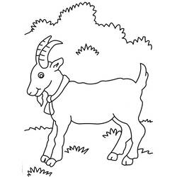 Раскраска: коза (Животные) #2403 - Бесплатные раскраски для печати