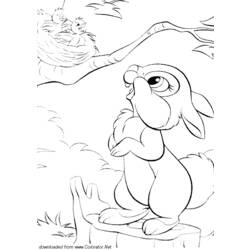 Раскраска: заяц (Животные) #10143 - Бесплатные раскраски для печати