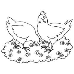 Раскраска: курица (Животные) #17505 - Бесплатные раскраски для печати