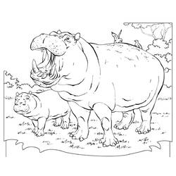 Раскраска: гиппопотам (Животные) #8690 - Бесплатные раскраски для печати