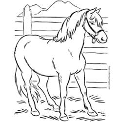 Раскраска: лошадь (Животные) #2197 - Бесплатные раскраски для печати