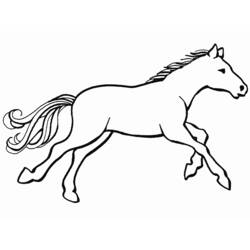 Раскраска: лошадь (Животные) #2241 - Бесплатные раскраски для печати