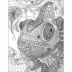 Раскраска: игуана (Животные) #8923 - Бесплатные раскраски для печати