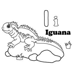Раскраски: игуана - Бесплатные раскраски для печати