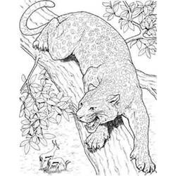 Раскраска: ягуар (Животные) #9038 - Бесплатные раскраски для печати