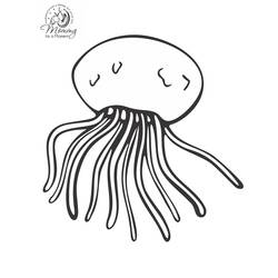 Раскраска: медуза (Животные) #20568 - Бесплатные раскраски для печати