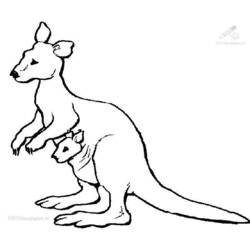 Раскраска: кенгуру (Животные) #9172 - Бесплатные раскраски для печати