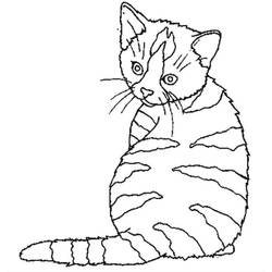 Раскраска: котенок (Животные) #18068 - Бесплатные раскраски для печати