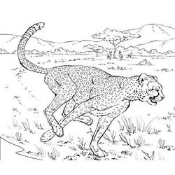 Раскраска: леопард (Животные) #9798 - Бесплатные раскраски для печати