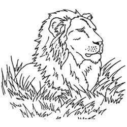 Раскраска: лев (Животные) #10349 - Бесплатные раскраски для печати