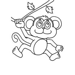 Раскраска: обезьяна (Животные) #14264 - Бесплатные раскраски для печати