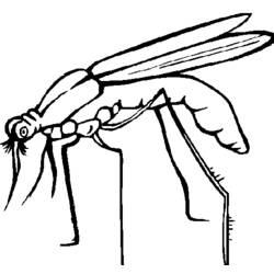 Раскраска: комар (Животные) #11324 - Бесплатные раскраски для печати