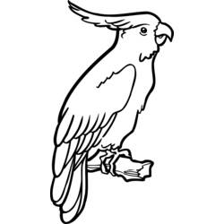 Раскраска: попугай (Животные) #16081 - Бесплатные раскраски для печати