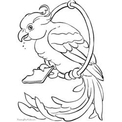 Раскраска: попугай (Животные) #16141 - Бесплатные раскраски для печати