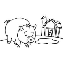 Раскраска: свинья (Животные) #3598 - Бесплатные раскраски для печати