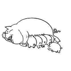Раскраска: свинина (Животные) #17643 - Бесплатные раскраски для печати