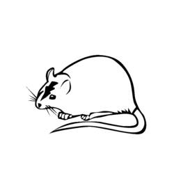 Раскраска: крыса (Животные) #15255 - Бесплатные раскраски для печати