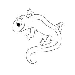 Раскраска: саламандра (Животные) #19906 - Бесплатные раскраски для печати