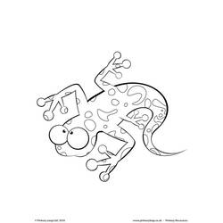 Раскраска: саламандра (Животные) #19944 - Бесплатные раскраски для печати
