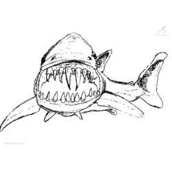 Раскраска: акула (Животные) #14775 - Бесплатные раскраски для печати